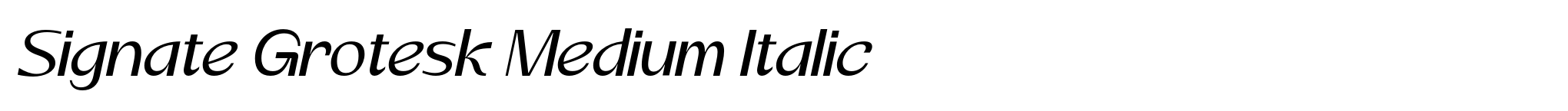 Signate Grotesk Medium Italic image